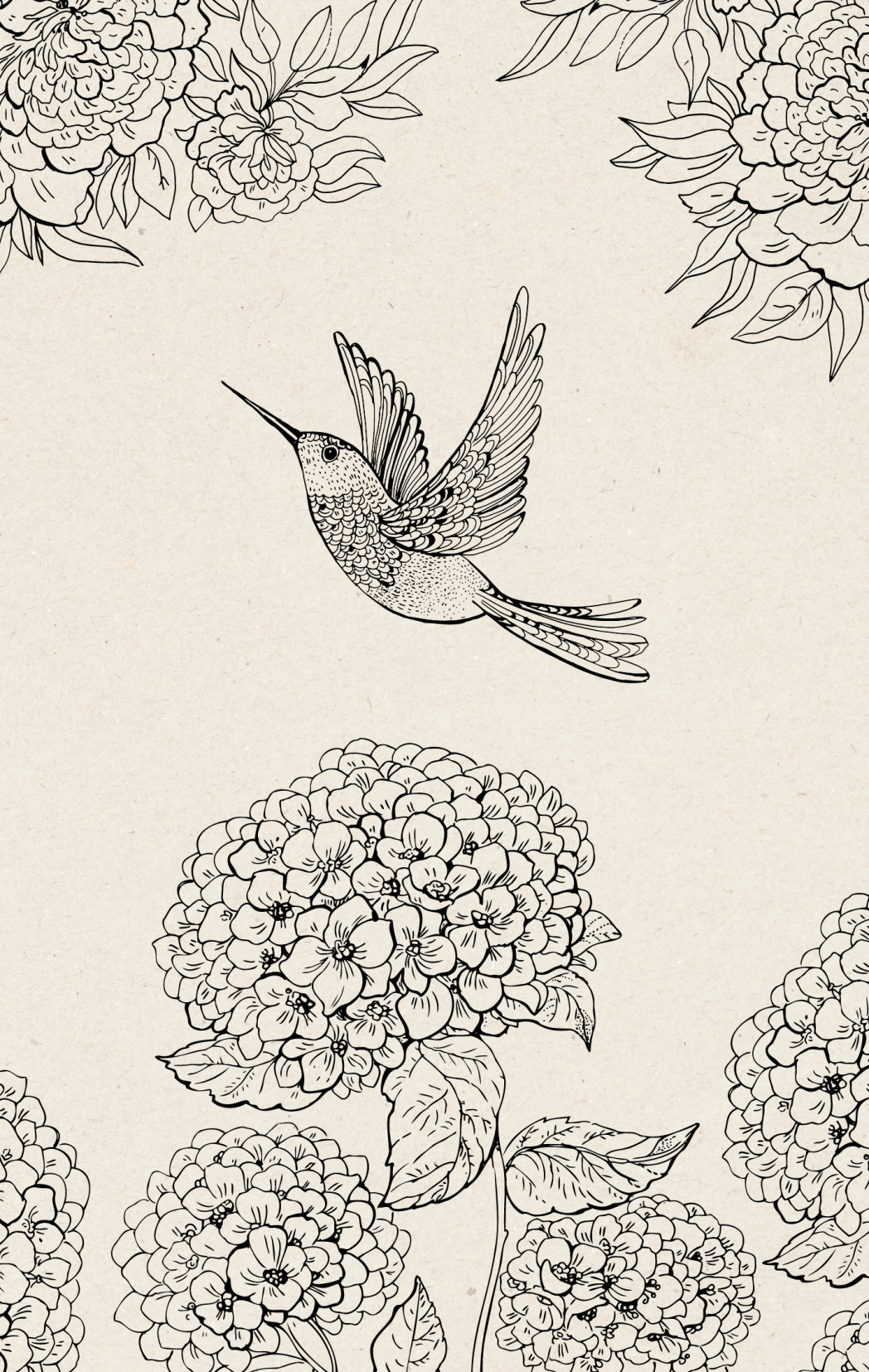 Beige Line Drawing Hummingbird Bird Hydrangea Flowers Poster